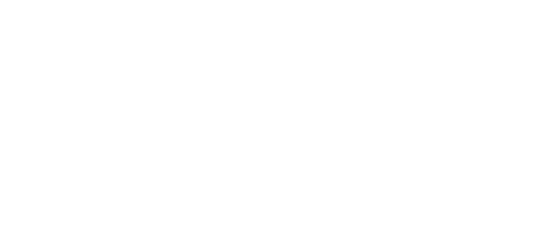 Логотип Zemtsov Group